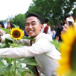 People love taking photos with the sunflowers in Miagao, too. (Photo by Misael Bacani, UP MPRO)