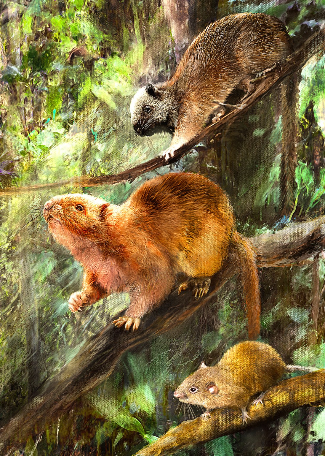 Breakthrough: Extinct giant rodents discovered in the Philippines ...